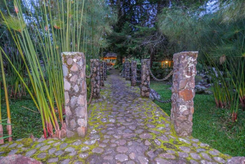 Finca Punta De Piedra Salento, Quindio Villa Kültér fotó