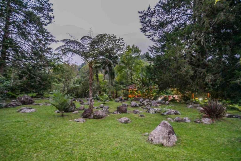Finca Punta De Piedra Salento, Quindio Villa Kültér fotó