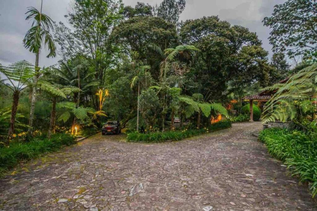Finca Punta De Piedra Salento, Quindio Villa Kültér fotó